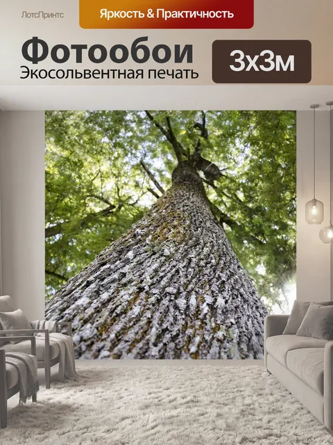 Фотообои Природа