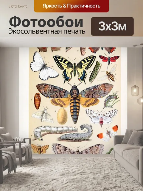 Фотообои Винтажное искусство гусеницы бабочки