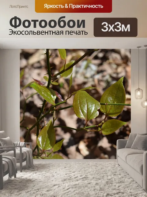 Фотообои Зеленый шиповник лоза