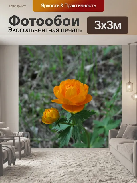 Фотообои Аленький цветочек