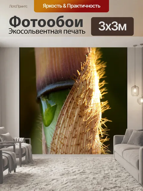 Фотообои Фаргезия