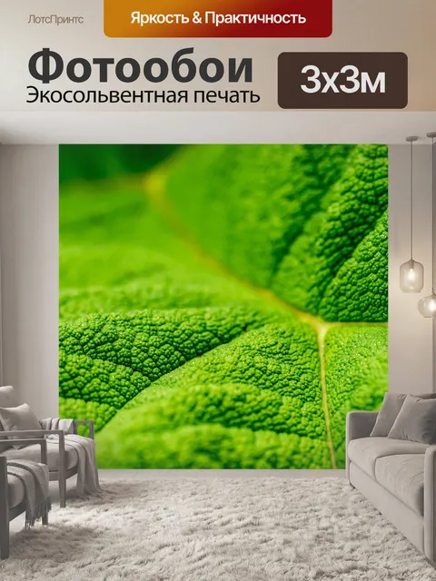 Фотообои Крупный план