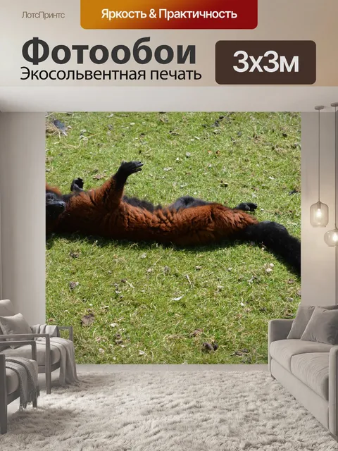 Фотообои Обезьяна крекеры 15