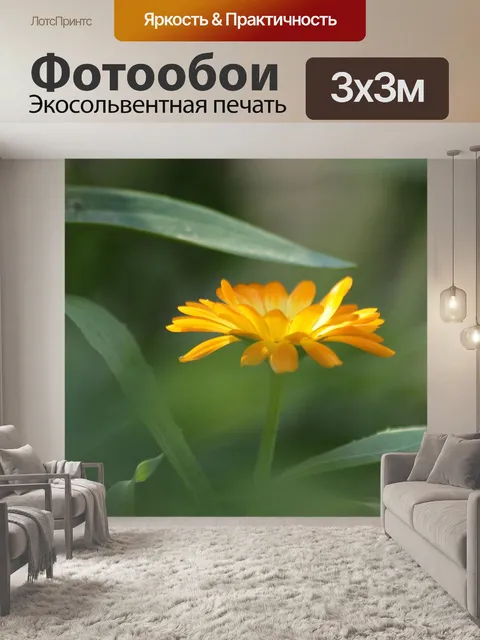 Фотообои Календулы