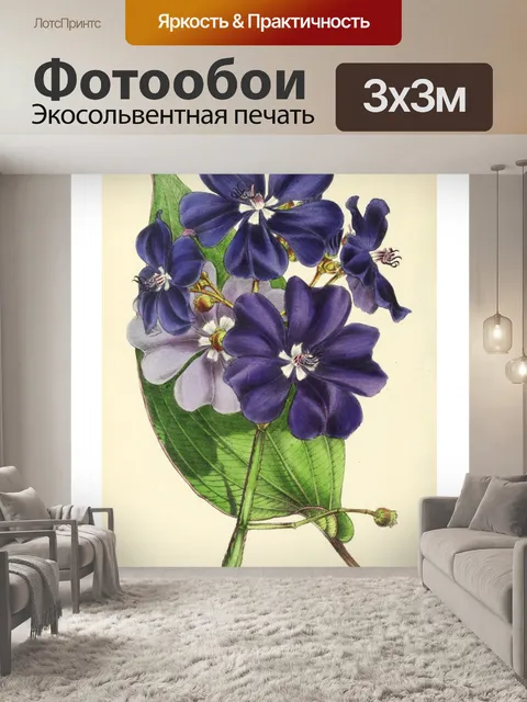 Фотообои Искусство иллюстрации садовых цветов