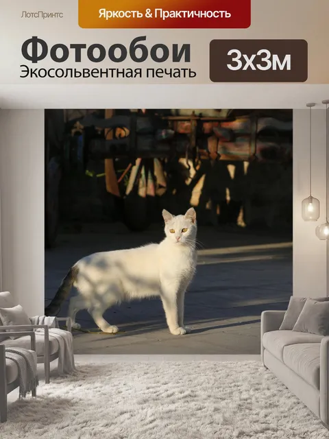 Фотообои Белый кот