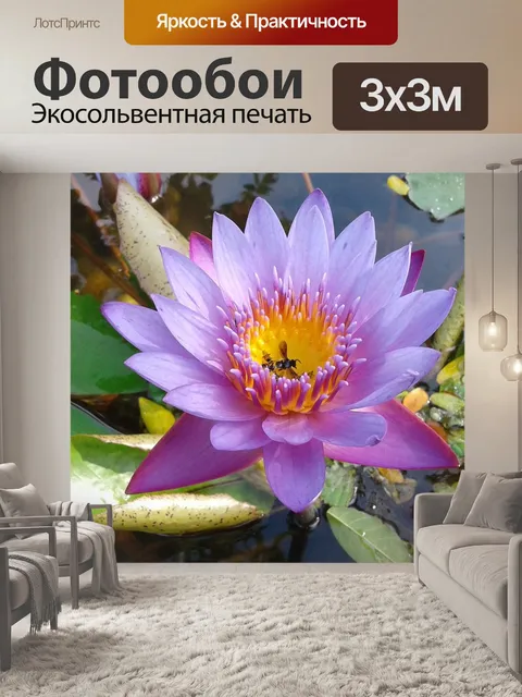 Фотообои Цветок