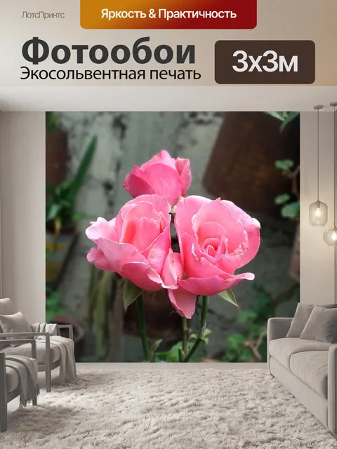 Фотообои Розы