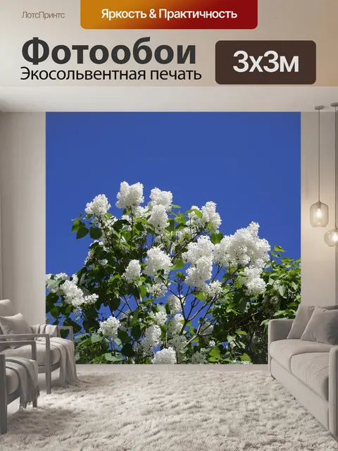 Фотообои Сирена