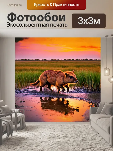 Фотообои капибара, исследующая влажный тростниковый луг на закате