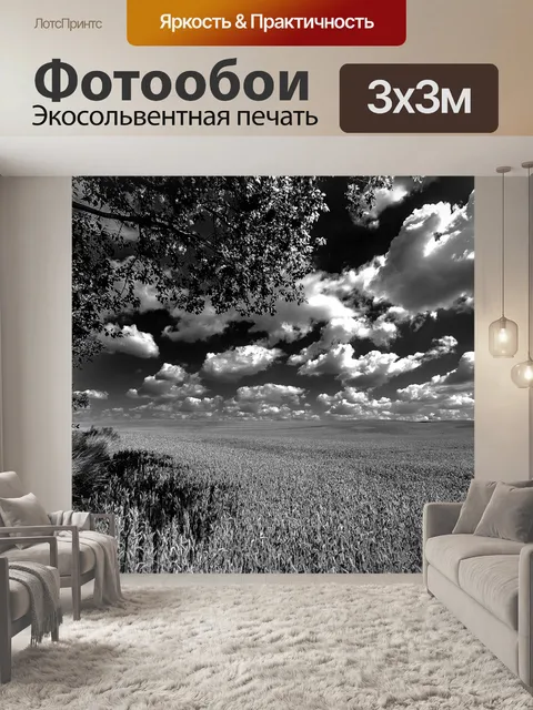 Фотообои Чернить