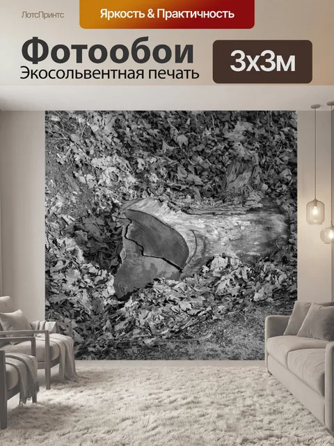 Фотообои Спиленный ствол дерева