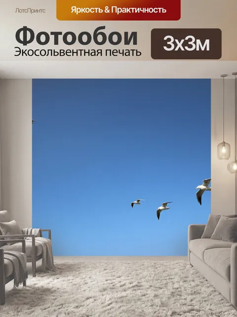 Фотообои Чайка