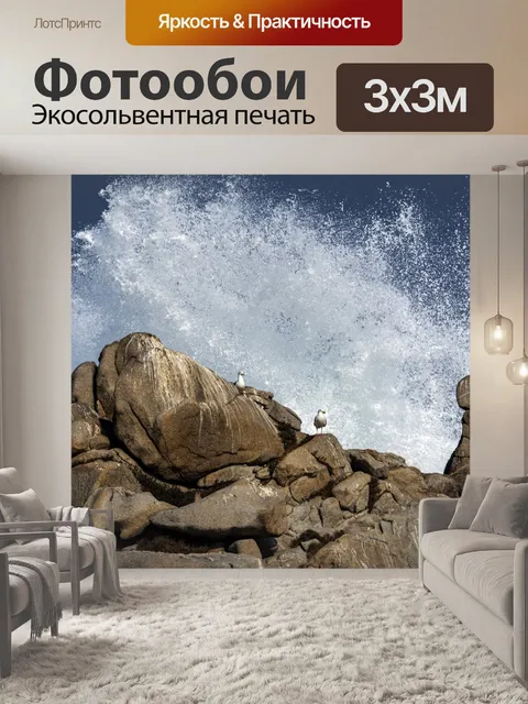 Фотообои чайка и всплеск волны