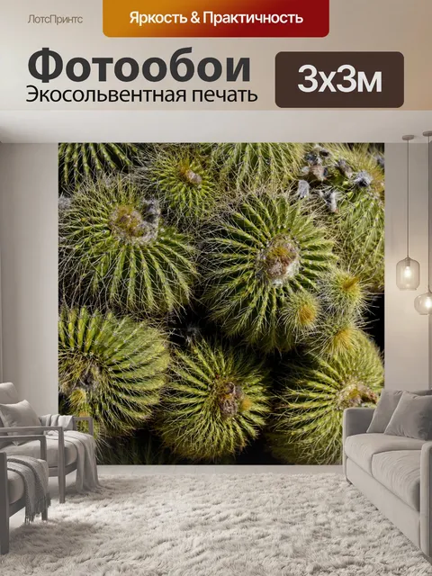 Фотообои Бочка кактусовая бочка
