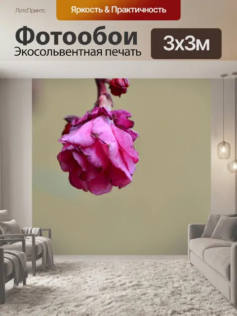 Фотообои Цветок
