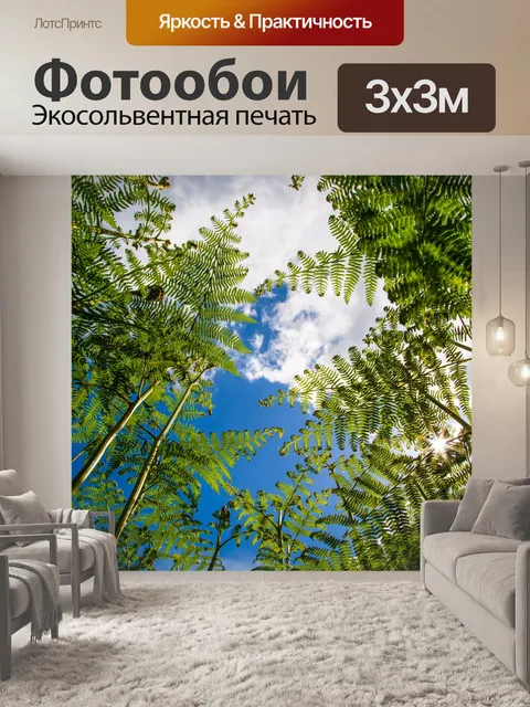Фотообои папоротник