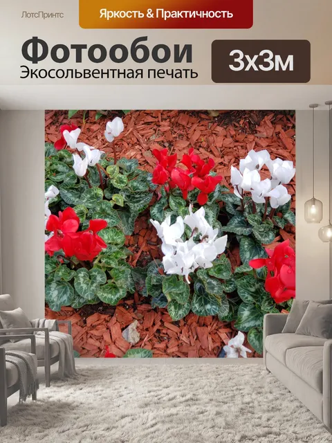 Фотообои Красные и белые цветы