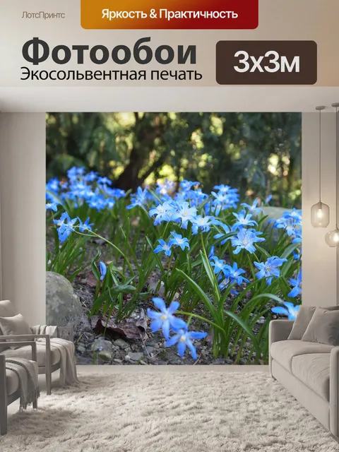Фотообои Синие цветы