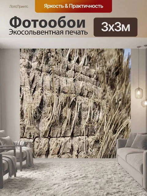Фотообои Кора пальмы крупным планом