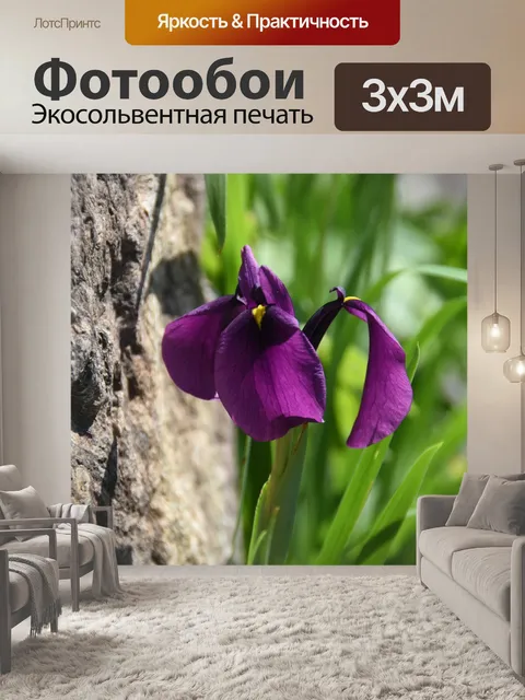 Фотообои Уайлдфлауэр