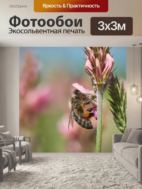 Фотообои Пчела
