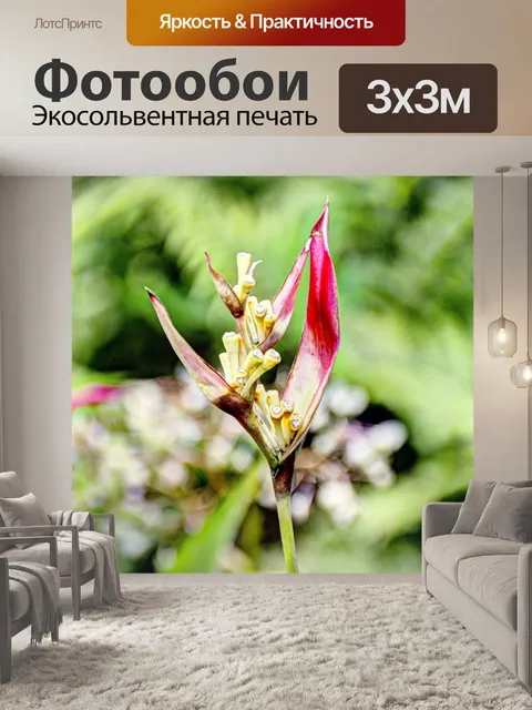 Фотообои Тропический бутон
