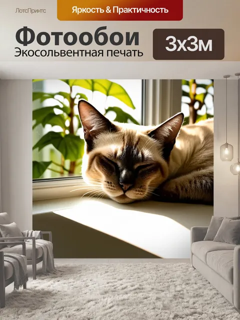 Фотообои сиамская кошка, спящей на подоконнике, с крупным планом лица и глубоко счастливыми выражениями