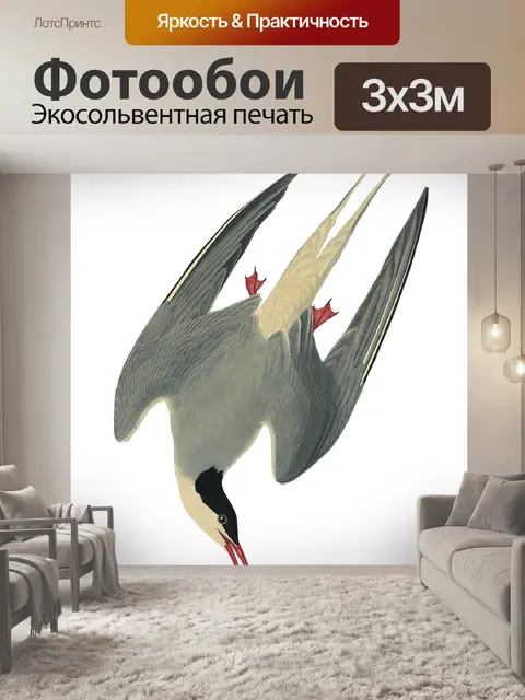 Фотообои Птица Винтаж Крачка Искусство
