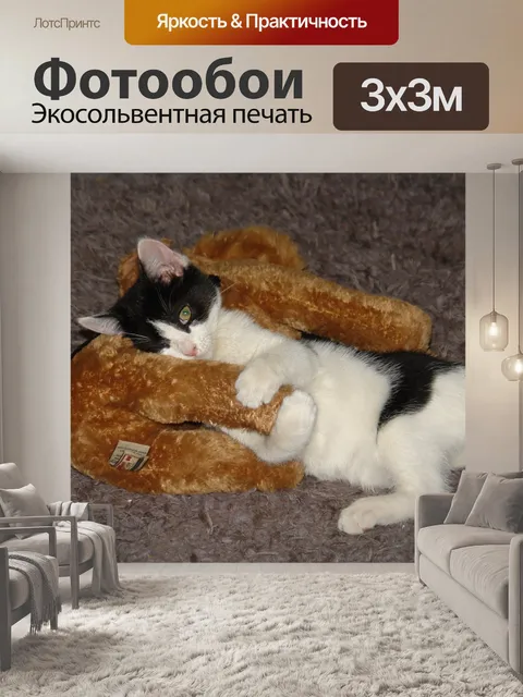 Фотообои Котенок любит игрушки