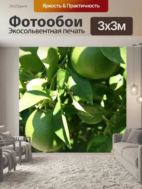 Фотообои Калифорния Лаймы