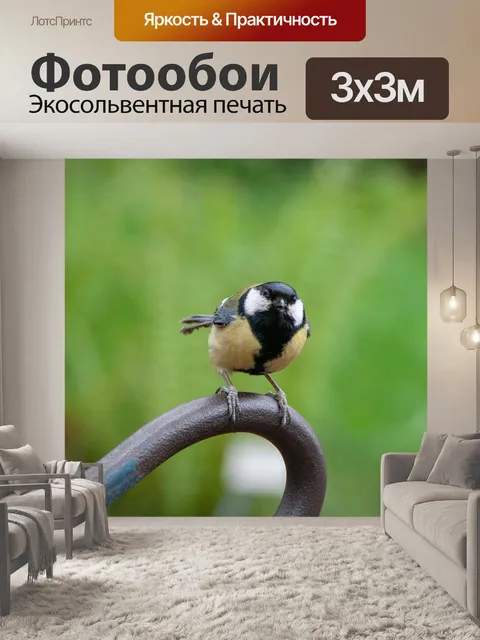 Фотообои Птица