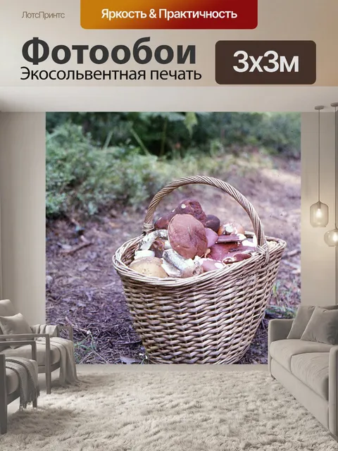 Фотообои Корзина с грибами
