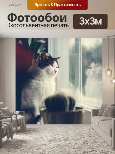 Фотообои Окно