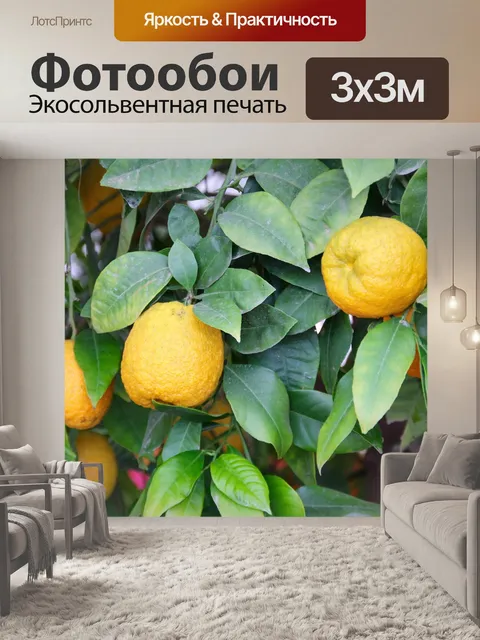 Фотообои Лимоны
