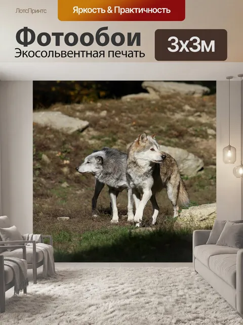 Фотообои Волки