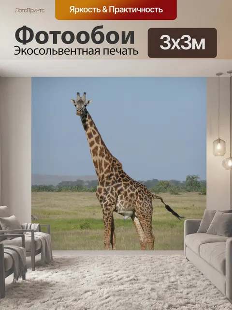 Фотообои Жирафа