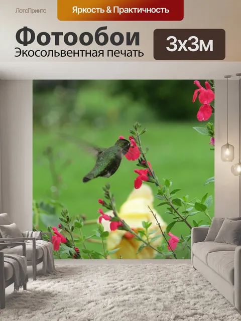 Фотообои Цветы