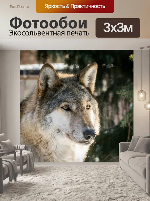 Фотообои Волк