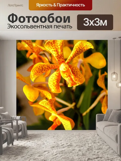 Фотообои Цветок орхидеи