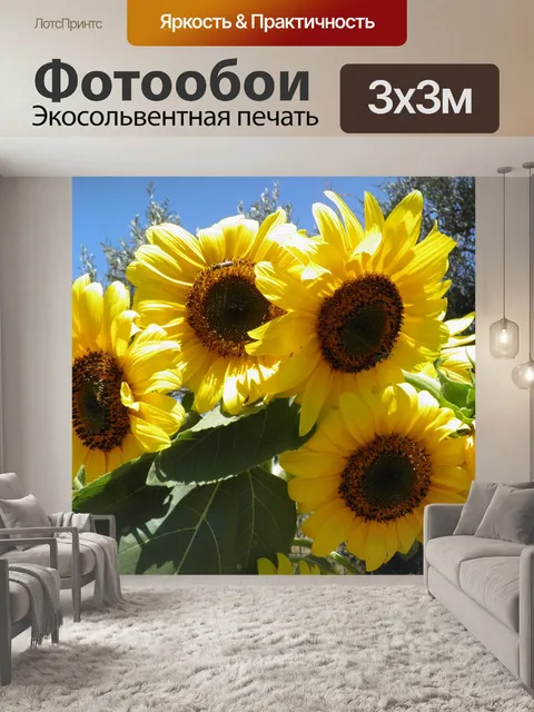 Фотообои Подсолнечник