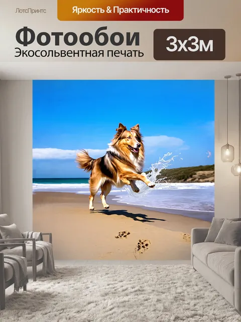 Фотообои грубая колли бежит по пустынной пляжной линии, вставая на задние лапы, чтобы поймать ветер