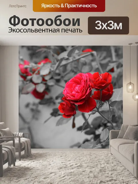 Фотообои Розы