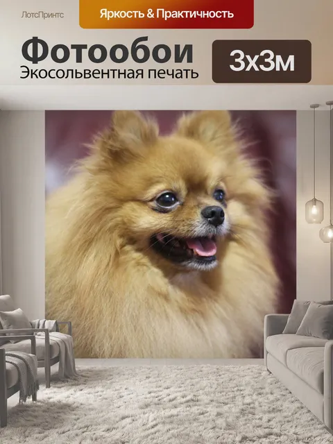 Фотообои Собака