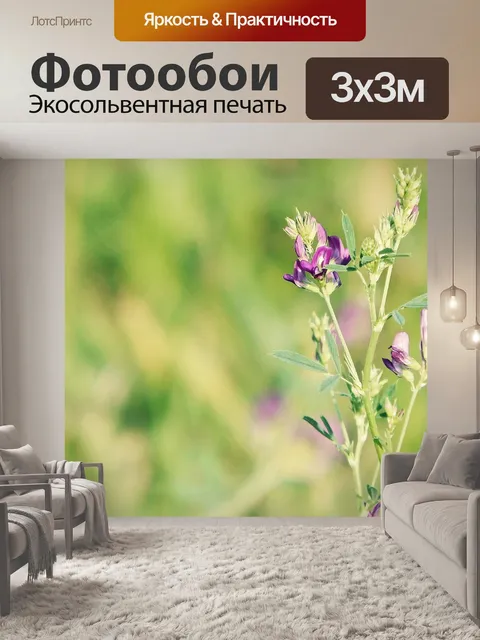 Фотообои Цветы