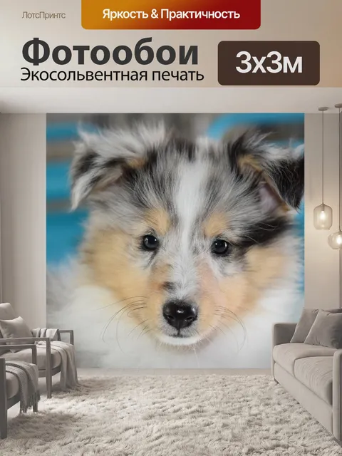 Фотообои Собака