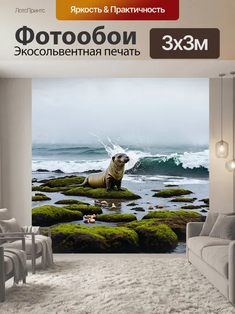 Фотообои тюлень, исследующий покрытые мхом скалы на побережье, где столкновение волн создаёт блестящие брызги