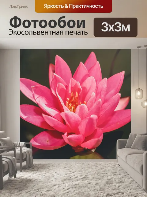 Фотообои Цветок лотоса