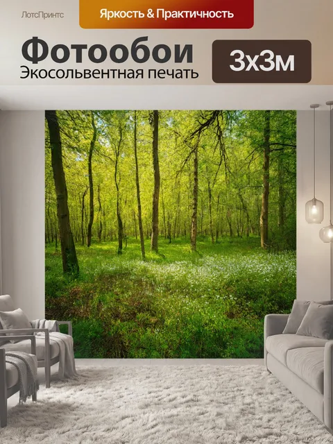 Фотообои прохладный весенний день в лесу, когда всё расцветает и наполняется жизнью