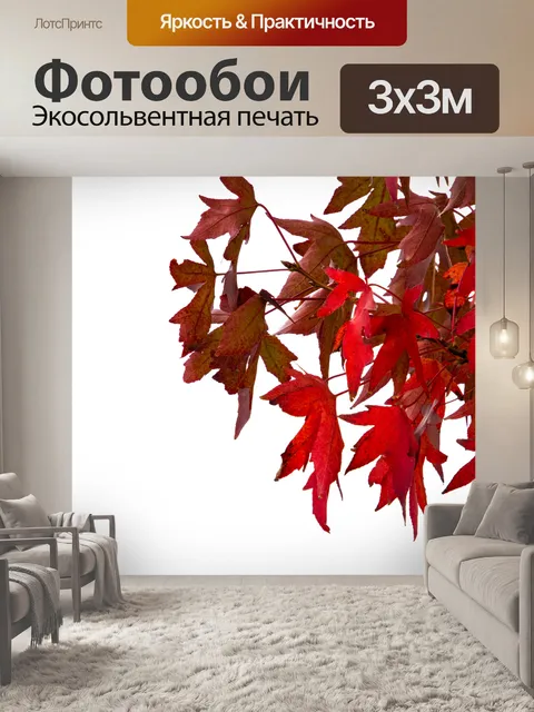 Фотообои Листья, красные листья